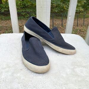 Sperry Navy Blue Seaside Perforated Varsity Sneaker